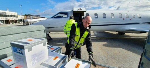 Cleaner fish eggs flown into UK by private jet