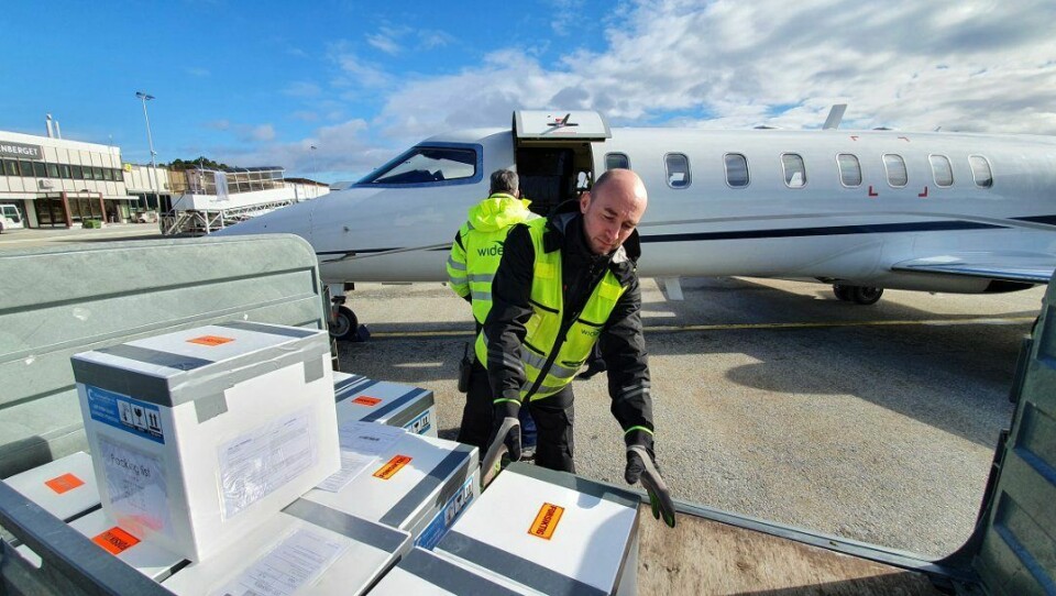 Lumpfish eggs destined for the UK are loaded on to a plane in Kristiansund in southern Norway. Photo: Skjerneset Fisk AS.