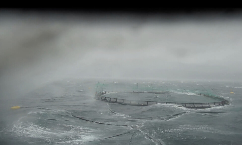 A fish farm during Storm Ingunn.