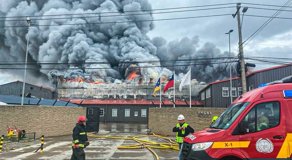 Blaze wrecks salmon processing plant