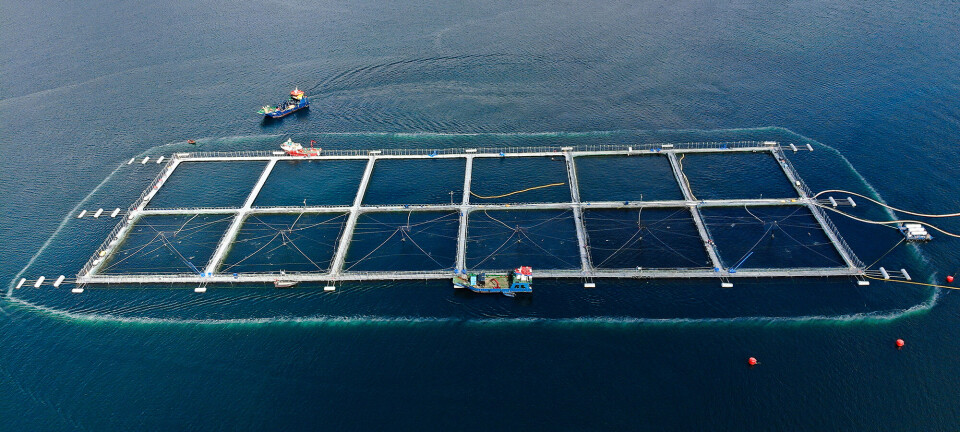 Chilean microbubble company on the rise in Scotland