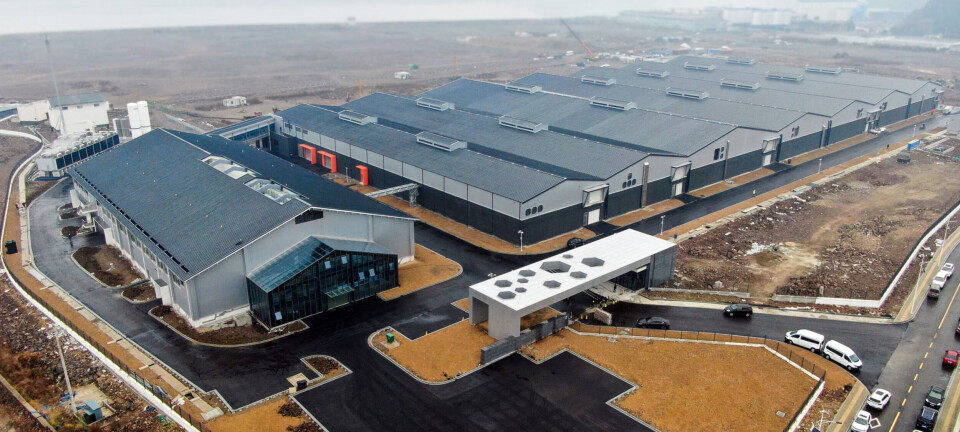China land-based salmon farmer prepares for first harvest