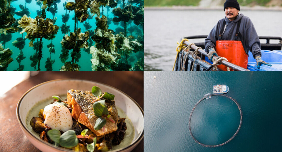 The CSA promotes sustainable and responsible aquaculture in the US, which has a complicated permitting system.
