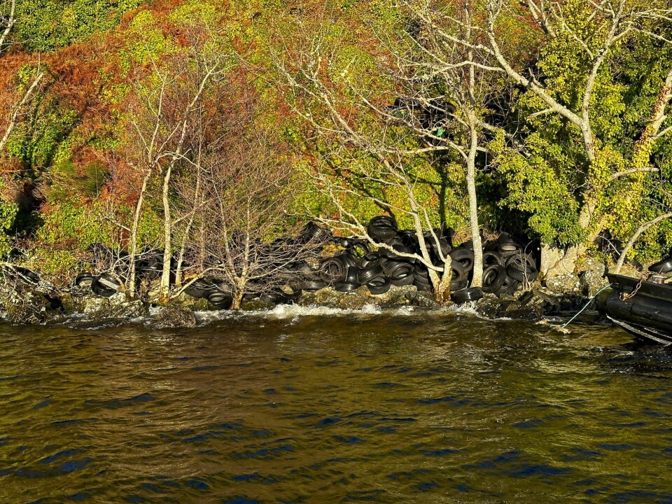 Some of the tyres seen from the loch.