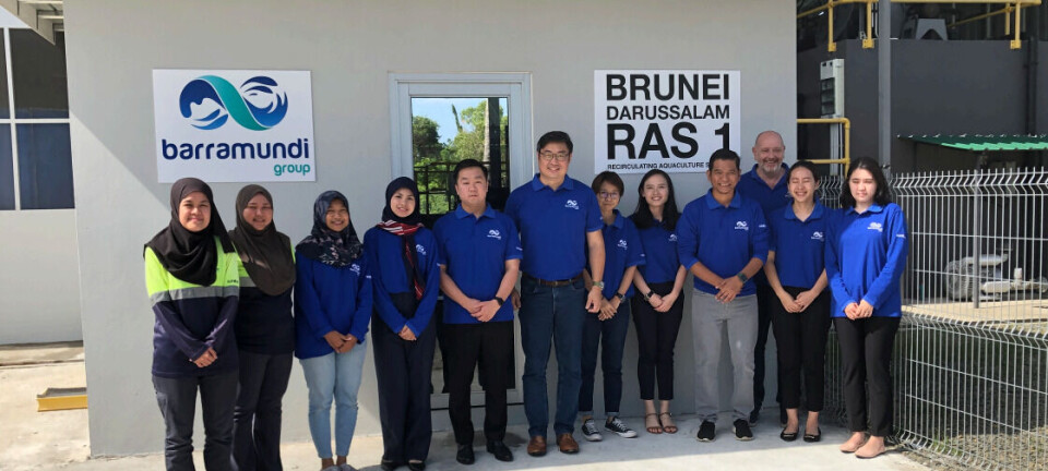 Barramundi grower secures £8.8m funding offer to build RAS hatchery in Brunei