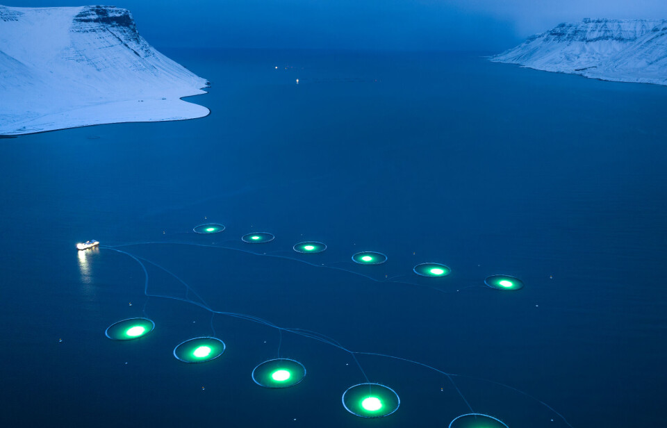 One of Arctic Fish's fish farms located in Haukadalsbot in Dyrafjordur.