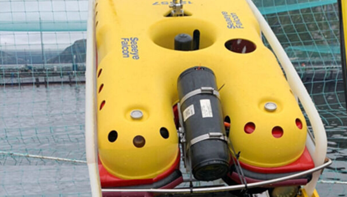 Fish farming ROV contractor enlarges fleet