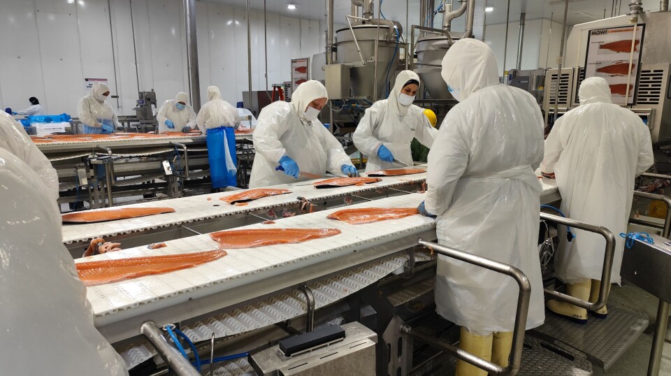 Salmonid harvest was down by 10.3% in Chile in January