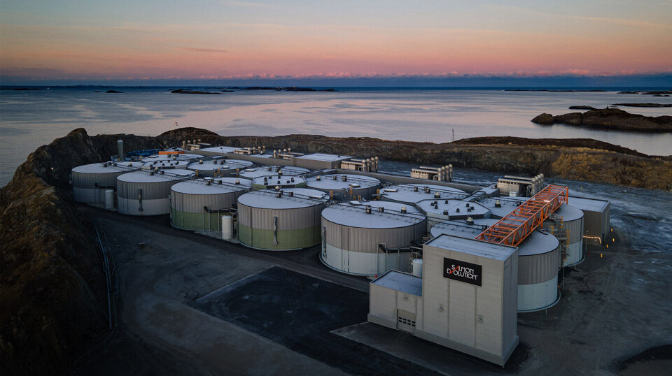 Salmon Evolution expects to soon reach steady state production of 7,900 tonnes HOG per year in Phase 1 of its hybrid flow-through/RAS facility in Norway.