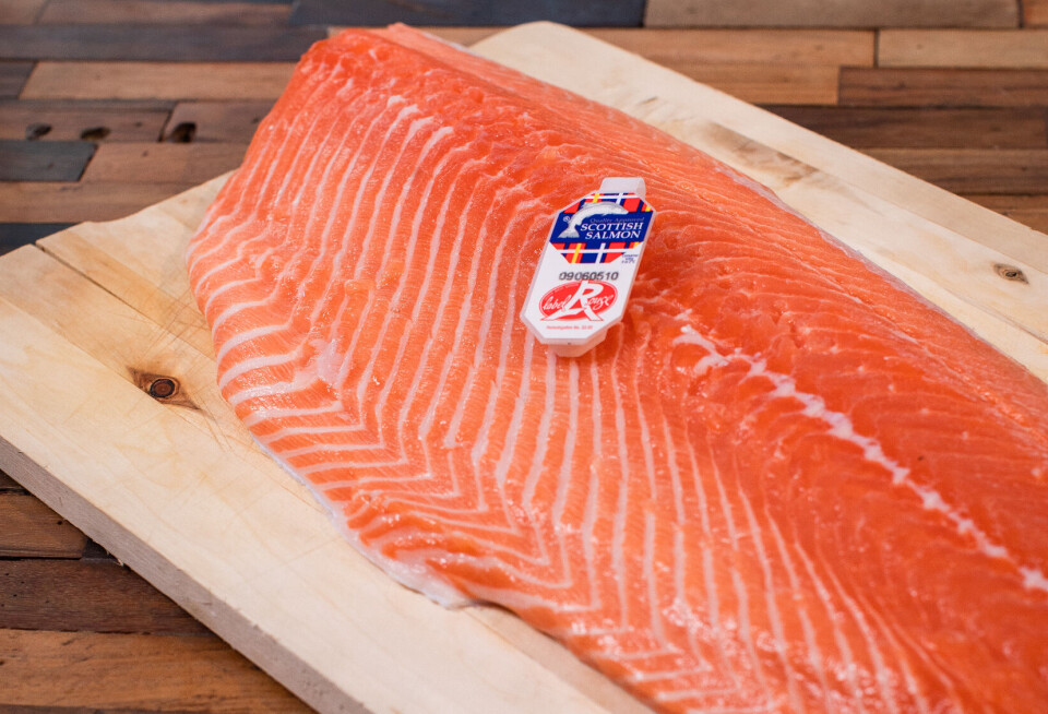Label Rouge Scottish salmon currently makes up about 12% of salmon exports.