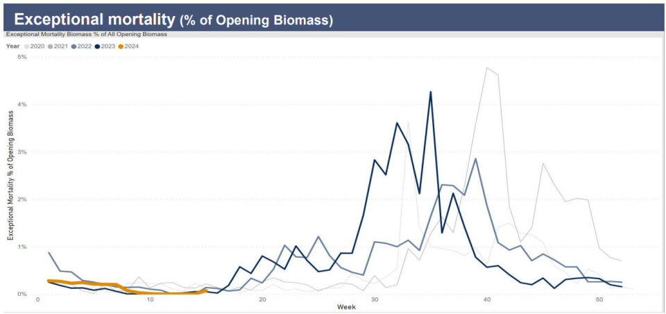 Bakkafrost Scotland's strategy is to harvest three-quarters of its fish in H1 to avoid the mortality spikes of previous years. This year's mortality percentage is makred in orange.