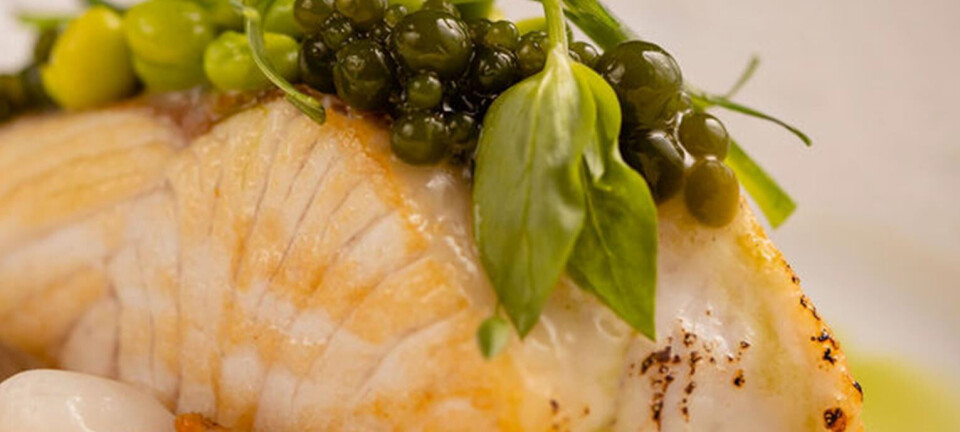 Kingfish Company increased harvest by 55% in Q2