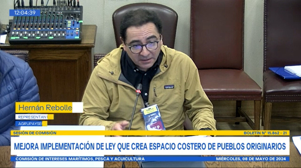 Screenshot of Hernán Rebolledo giving evidence to a Senate committee.