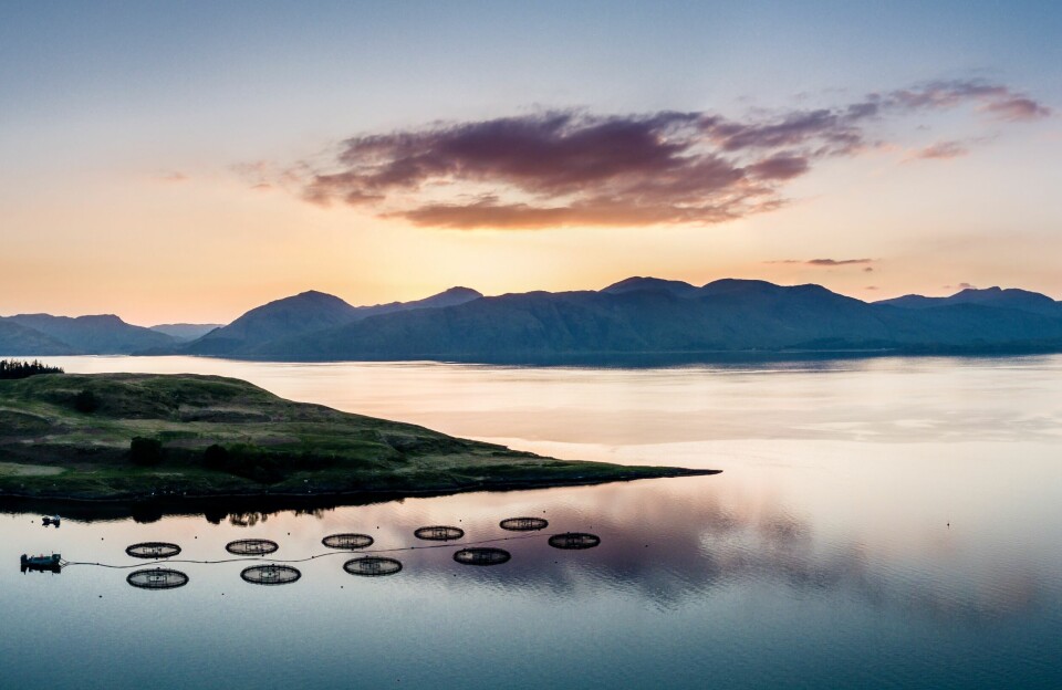 A fish farm in Scotland. SAIC has been given money to continue supporting funding research, primarily into fish health.