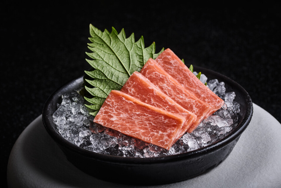 Wanda Fish set out to achieve the same level of fat marbling as real bluefin toro sashimi.