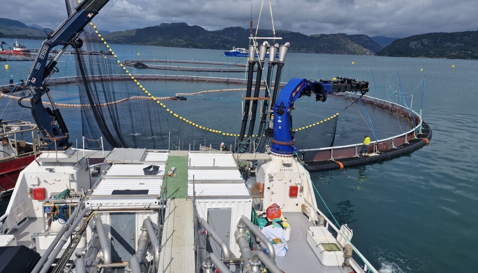 The TreatSupport project will investigate how handling and biological data can provide a better basis for decision-making and reduced mortality in the aquaculture industry.