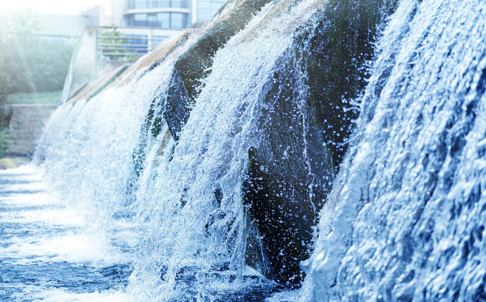 Scientists are investigating the use of biochar made from sewage to filter phosphorous from water and reduce algal blooms.