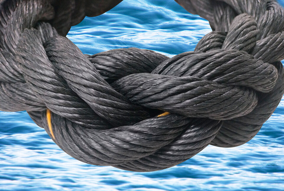 Garware's Renew Rope, made entirely from recycled plastic.