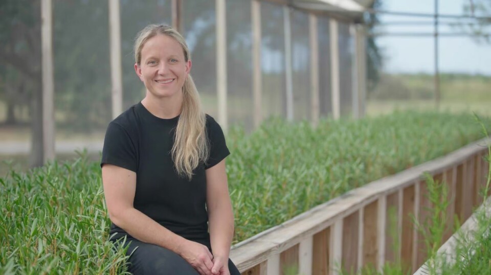 Megan Sorby with some of the salt-loving plants being grown in Florida.