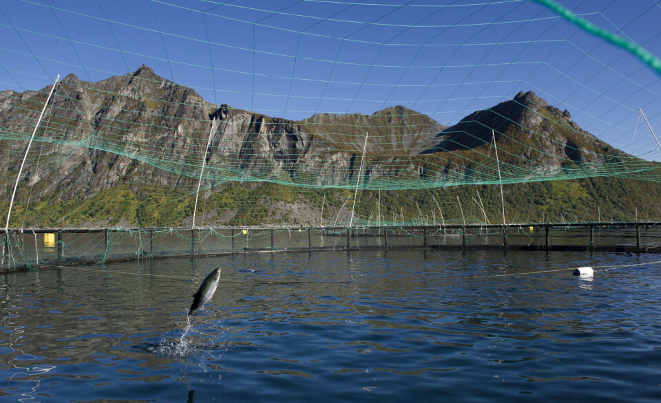 A union representing workers in the Norwegian salmon farming industry has warned it may call a strike if agreement can't be reached on pay and conditions.