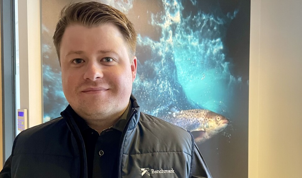 Sverre Vormedal, who has lived in Rekjavik since 2021, has joined Benchmark Genetics after working for Arnarlax.
