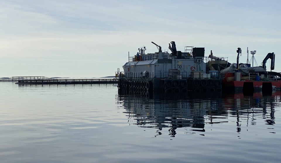 We now know the mediation date between the union and Seafood Norway, but do not yet know which companies will be affected or how many workers will be asked to join a possible strike.