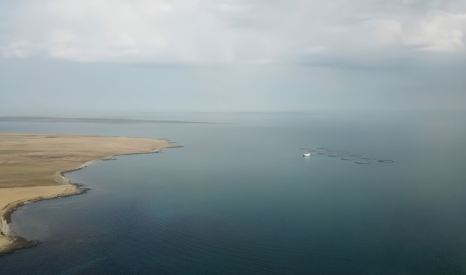 The salmon farm at Wyre, Orkney, can be difficult to reach when conditions are rough, but feeding can now be controlled from Kirkwall thanks to upgraded communications links.