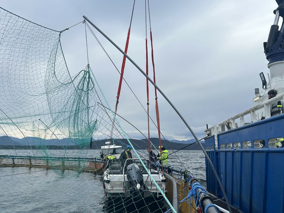 Workers secured slings to lift the motorboat on to a service vessel.