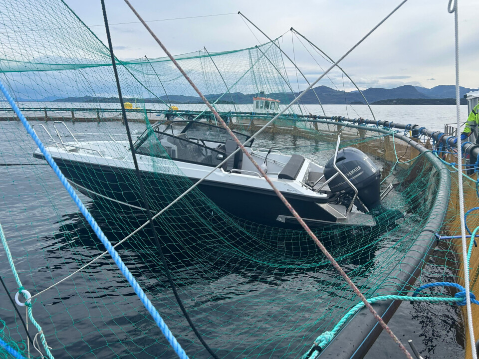 The motorboat that ran over the side of a salmon pen at a Grieg Seafood site in April.