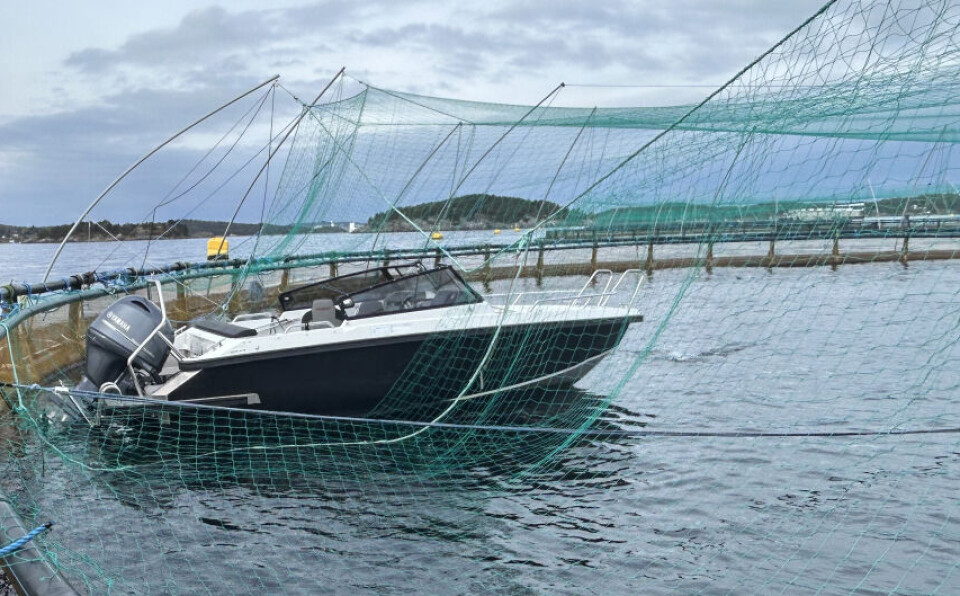 The motorboat that was run into a fish pen in Norway a week ago.