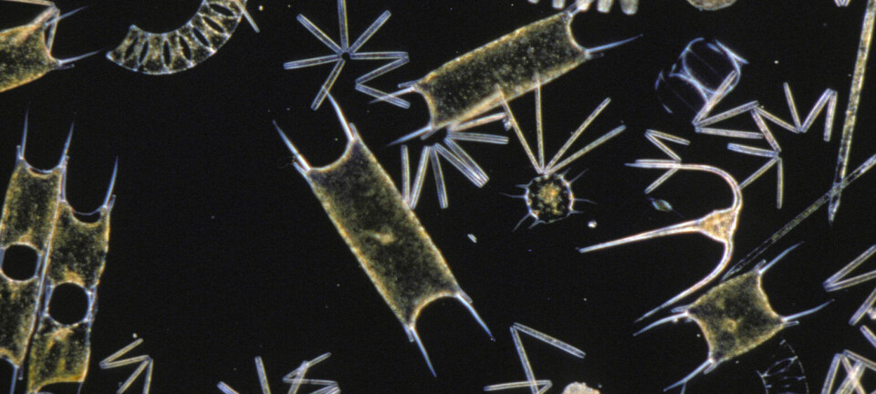 OTAQ wins contract for algal bloom warning systems in Ireland