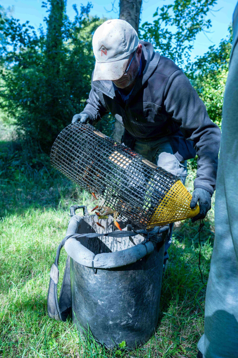 Andrew Leech emptying one of up to 150 traps on any given day in the height of crayfish season.