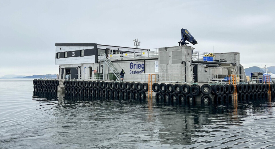 A feed barge at Grieg Seafood Rogaland's Teistholmen site. The Rogaland division harvested 8,000 gwt in Q4 2024.