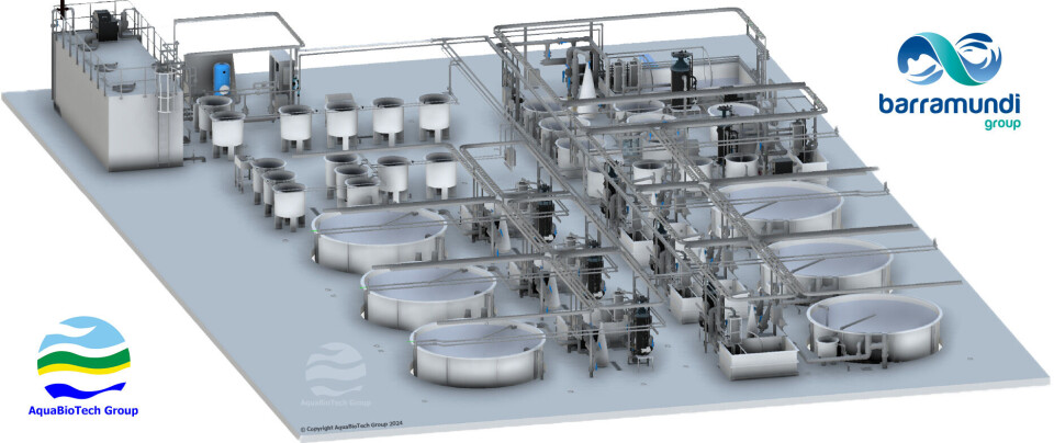 Barramundi Group's broodstock and hatchery RAS unit will supply its marine pens in Brunei and a 3,000-tonne RAS grow-out facility.