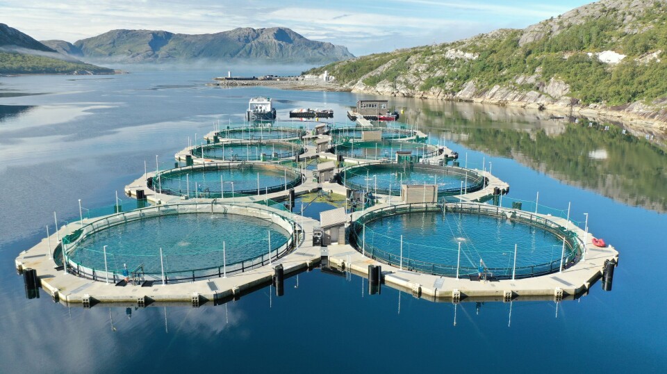 Akvafuture uses floating closed cages to farm fish in northern Norway.
