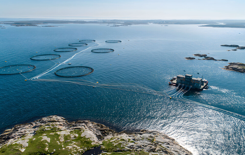 A Lerøy Midt site, Storskogøya. The central Norway division harvested 16,900 gwt in Q3.