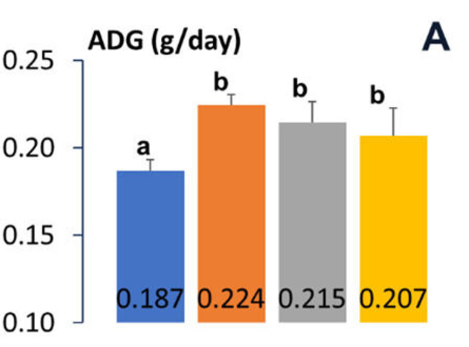Average daily gain (ADG) at day 42. All supplemented groups did better than the control group (blue).