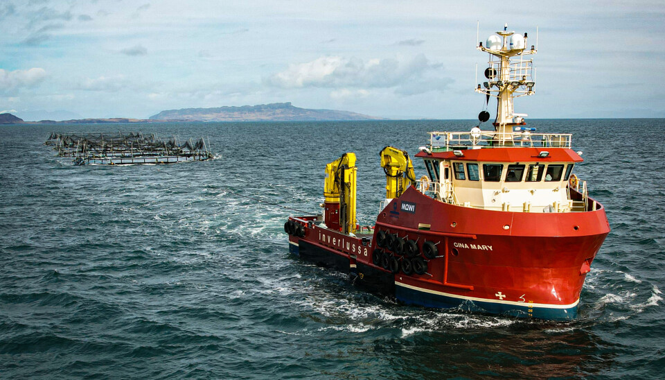 Inverlussa's Norwegian-built Gina Mary, pictured towing salmon pens, is of a similar design to the new vessel announced today, and is the same length, 25 metres, but does not have the hybrid power that the new boat will be equipped with.
