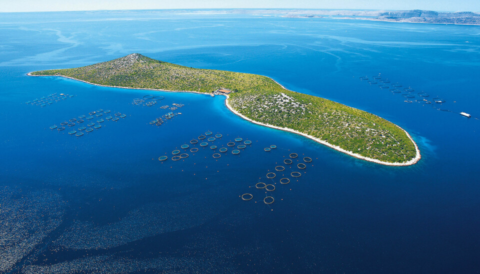 Cromaris fish farms off the coast of Croatia.