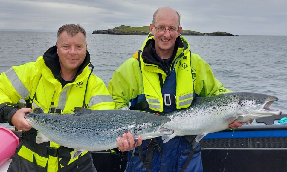 Mowi Scotland chief operating officer Ben Hadfield, left, and Calum MacDonald during a fish health inspection at Lochboisdale in July. The fish have been anaesthetised for inspection.