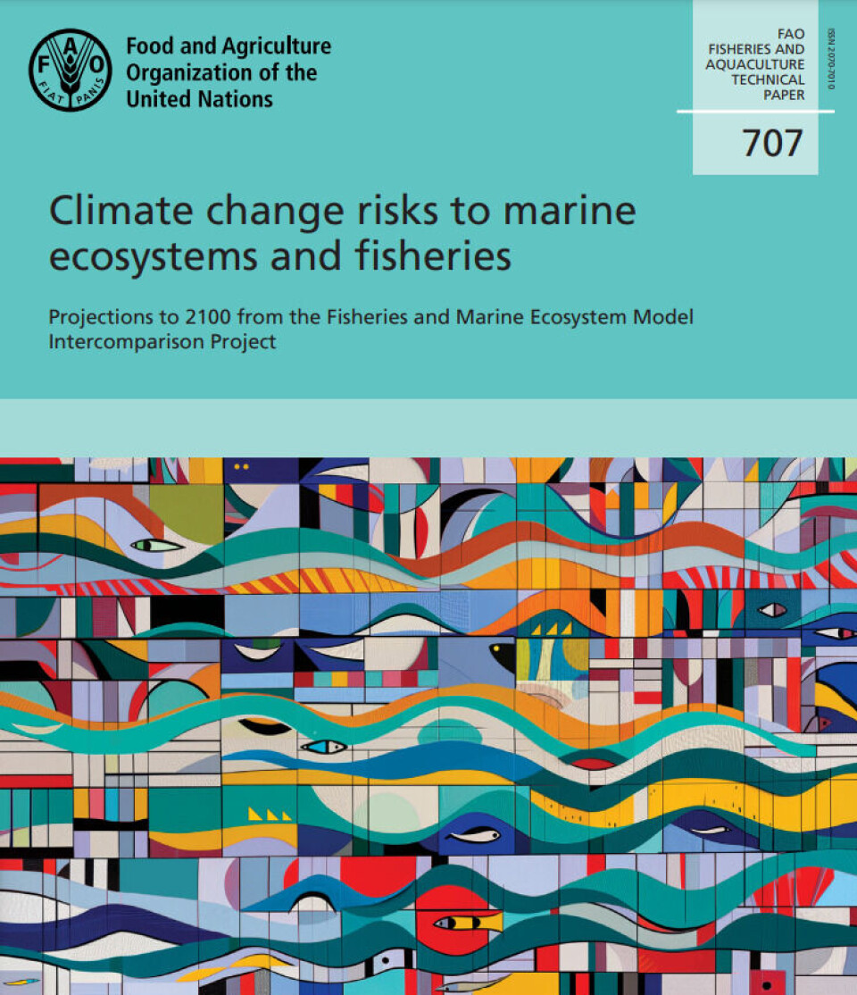 The UN FAO report warns that fish stocks could drop by a third if net zero isn't reached.