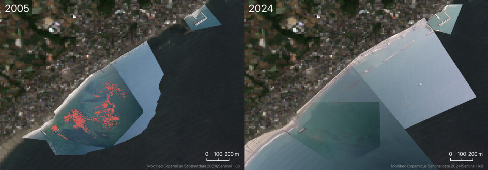 Comparison of Miura Beach (Upper: Images processed by Umitron based on aerial
photographs; Lower: Images after AI detection of eelgrass)