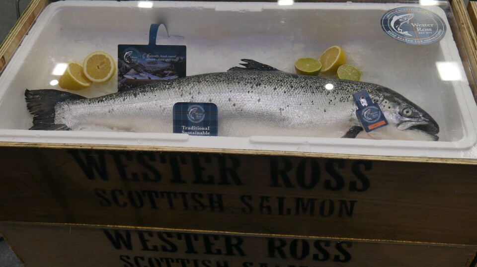A Wester Ross Fisheries salmon on display at Seafood Expo Global in Barcelona in April this year. The company said extra capacity at Mowi's Loch Torridon and Loch Alsh sites would enable it to meet 'exceptional global demand'.