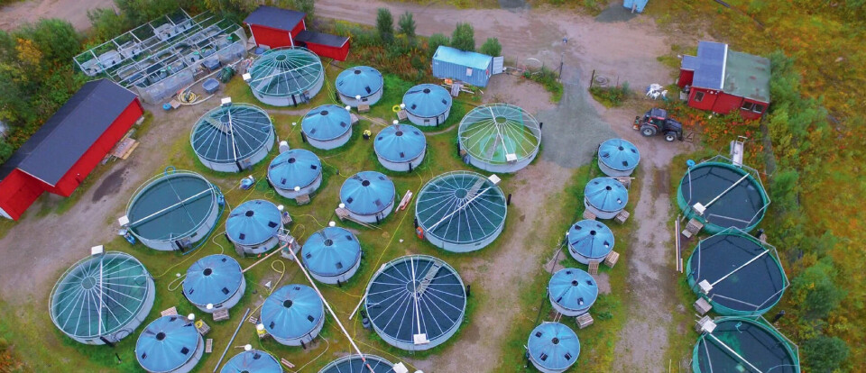 The Sigerfjord Fisk hatchery lost fry after an oxygen cone ruptured.