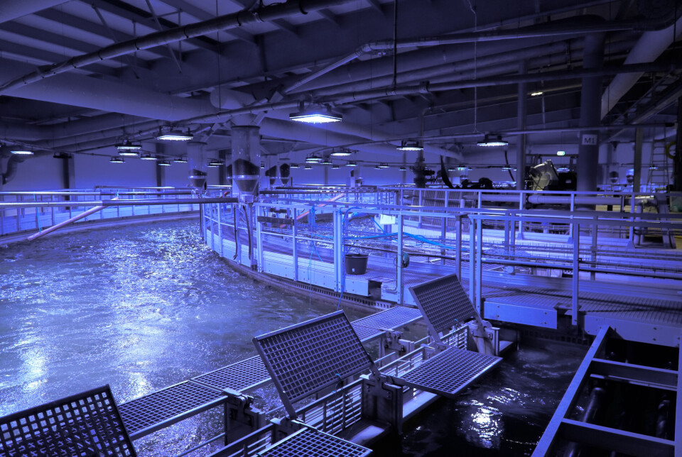 The RAS2020 modules from Veolia Water Technologies have an inner and an outer ring.