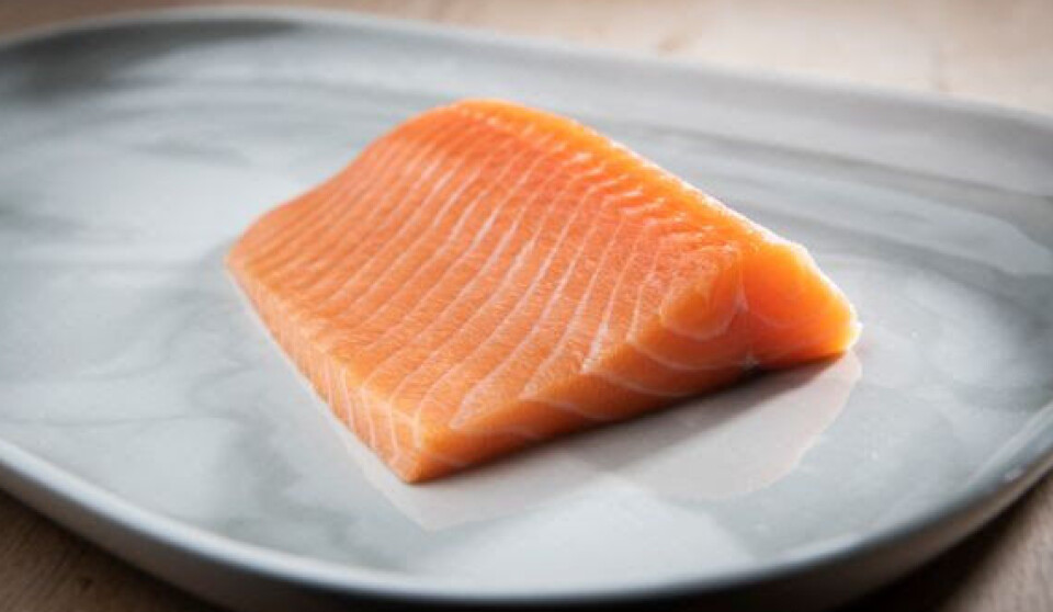 A uniformly pigmented salmon fillet.