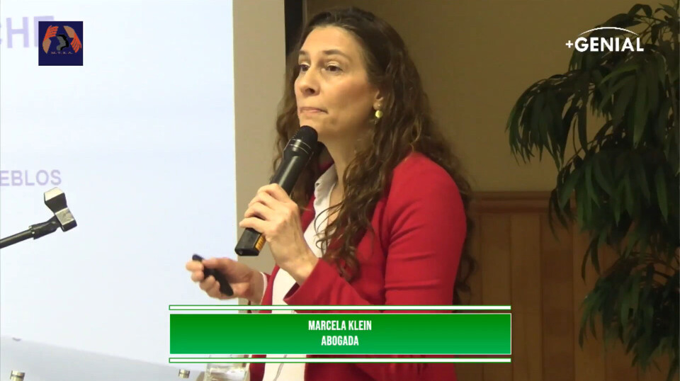 Sylvia Klein put forward several suggestions for ending abuse of the Lafkenche Law.