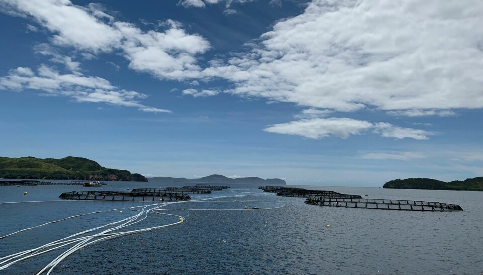 Illustrative image of a Mowi salmon farm in Eastern Canada.