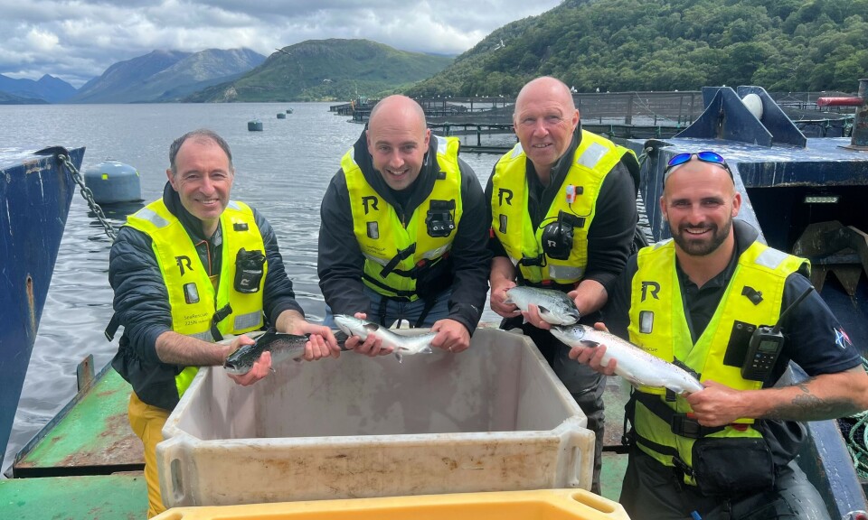 From left: Phil Gillibrand, Sean Anderson, Allan Murdoch, and Luke Plummer at Loch Etive. The fish have been anaesthetised for examination.