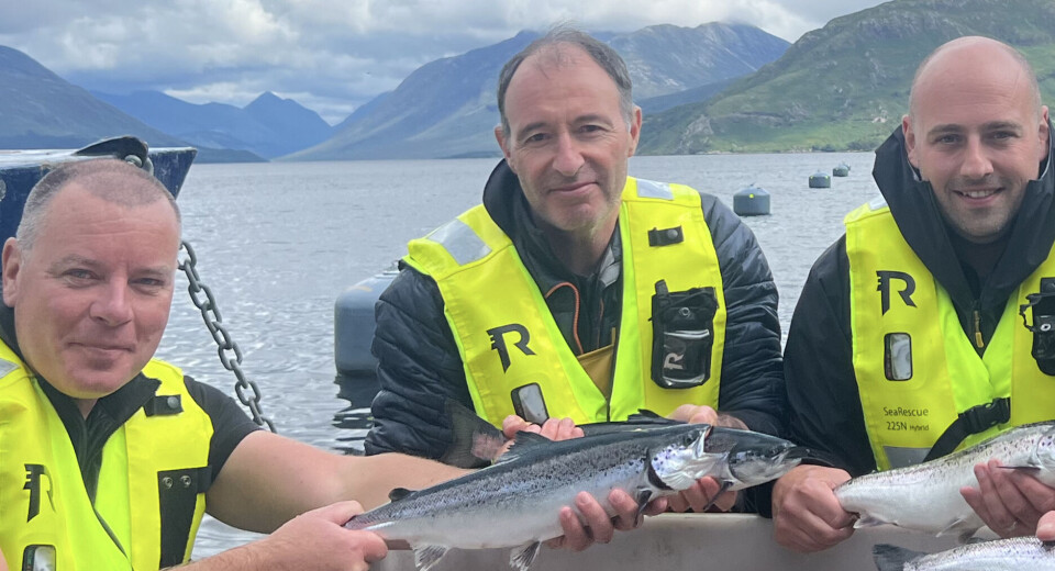 From left: Mowi Scotland chief operating officer Ben Hadfield, oceanographer Phil Gillibrand, and production director Sean Anderson with post-smolts at Loch Etive. The fish have been anaesthetised for examination.